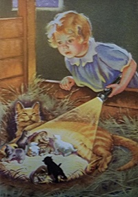 eveready ad